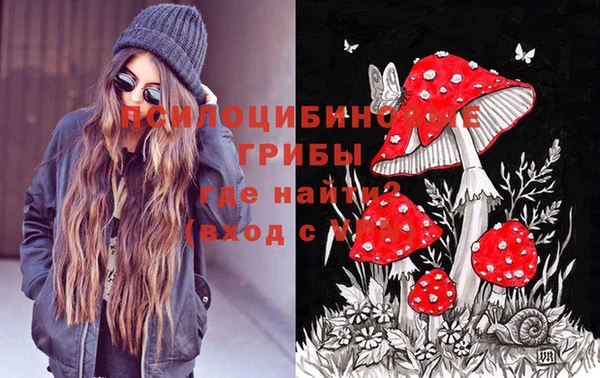 тгк Алзамай