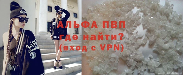 тгк Алзамай