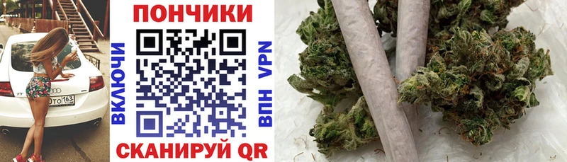 Конопля сатива  Лаишево 